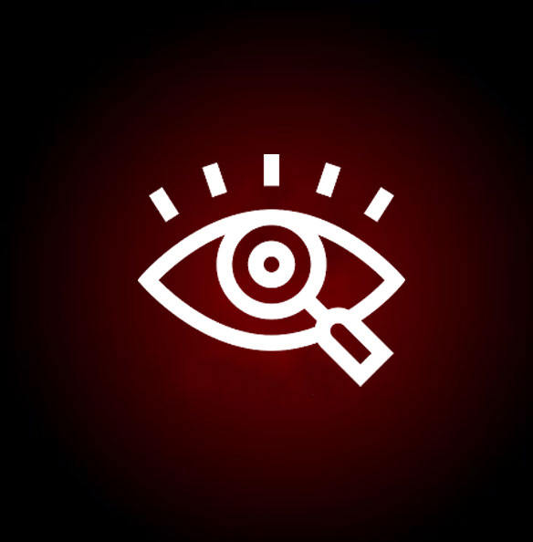 Vision